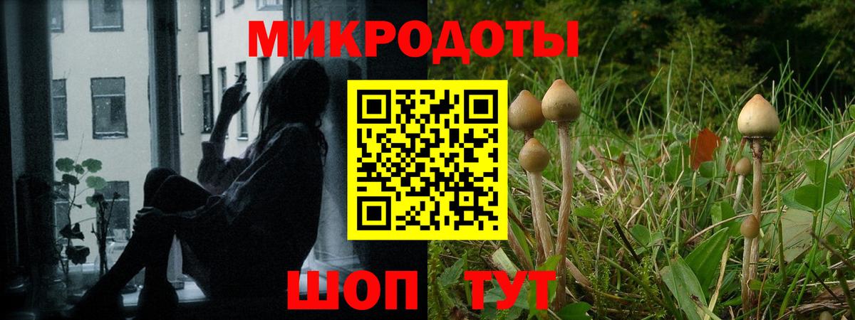 Кудымкар  Псилоцибиновые грибы Magic Shrooms  Вход с VPN 